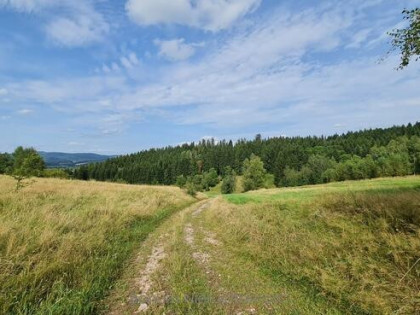 Na sprzedaż działki budowlane Bartnica