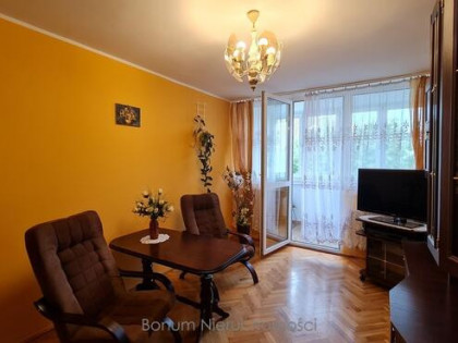 Do wynajęcia mieszkanie w Ząbkowicach Śląskich