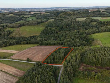 Działka Jaszczurowa gm. Wiśniowa