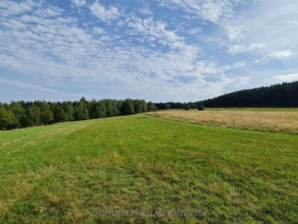 Na sprzedaż działki budowlane Świerki