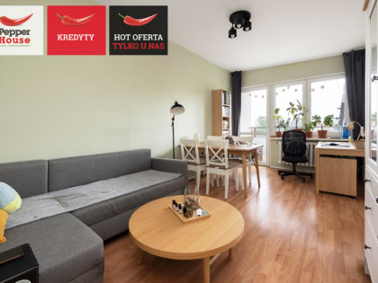 Mieszkanie Gdańsk Oliwa ul. Artura Grottgera