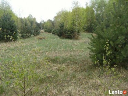 działkę budowlaną sprzedam