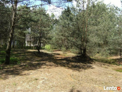 sprzedam działkę