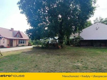 Sprzedam przeurocze siedlisko w lesie