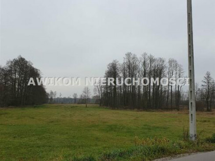 Działka siedliskowa Czosnów Brzozówka