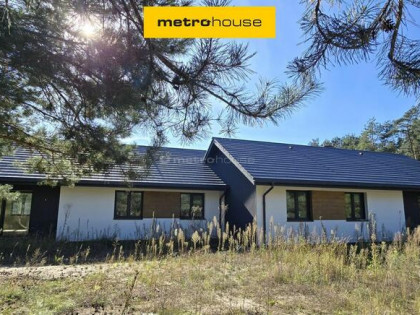 2 domy na działce w otoczeniu lasu, Rozgarty