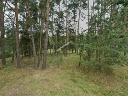 Sprzedam działkę w Glinniku (gm. Zgierz)