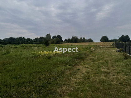 Działka Wodzisław Śląski Turzyczka