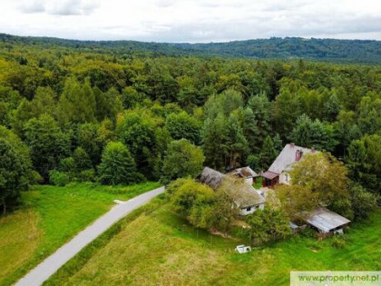 Działka 30 ar, Gołęczyna, gm. Pilzno