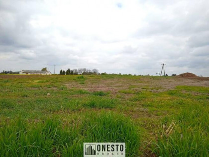 Działka budowlana Palikije Pierwsze gm. Wojciechów