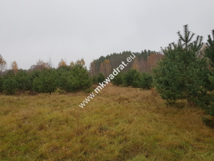 ⭐⭐⭐⭐Urokliwa działka przy lesie MPZP Media ⭐⭐⭐⭐