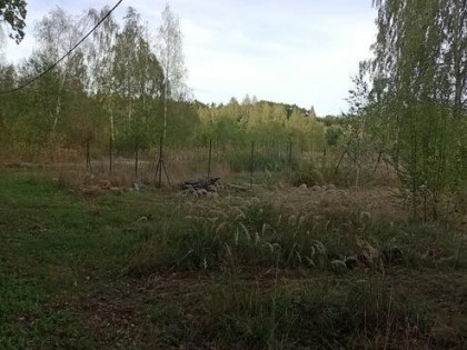 Wynajme działke budowlano usł. Piaseczno