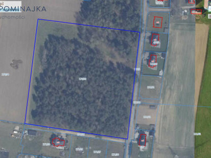 Działka rolna Dobrzewino gm. Szemud,