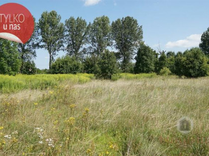 Działka w Deszcznie, ul. Stokrotkowa