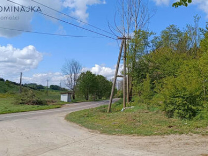 Działka leśna Prokowo gm. Kartuzy, Leśna