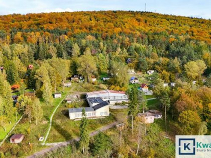 Lokal użytkowy Tylawa gm. Dukla,