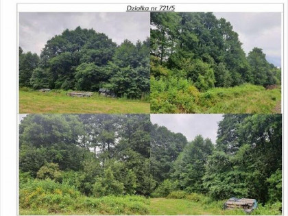 Nieruchomość niezabudowana - Buczkowice