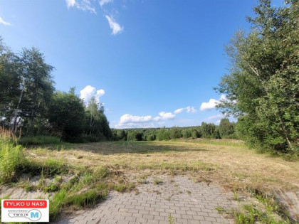 Działka rolna Masłów Masłów Drugi