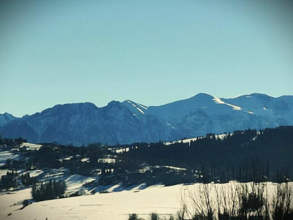 Działka w Maruszynie