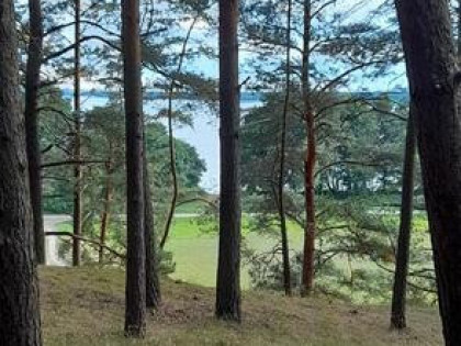 działka leśna swornegacie