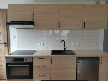 Mieszkanie do wynajęcia