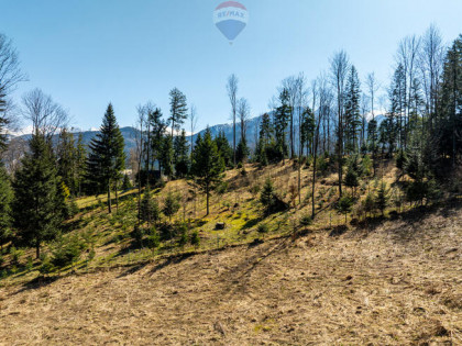 Zróżnicowany potencjał inwestycyjny z widokiem