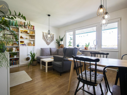 Mieszkanie Świdnica