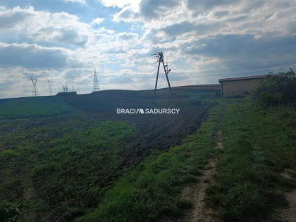 Działka rolna Proszowice