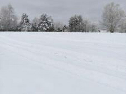 Nieruchomość niezabudowana - Jaworzynka