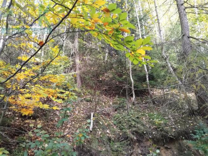 Działka leśna Wisła