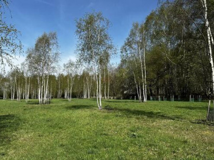 Działka rekreacyjna Nowa Wieś gm. Międzylesie