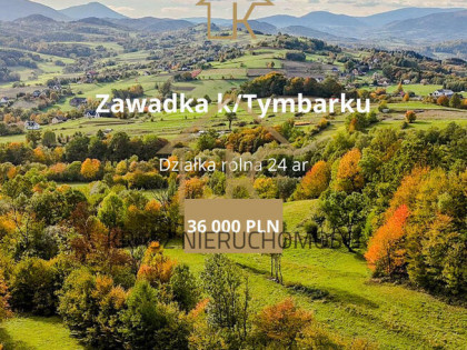 Działka z potencjałem i widokiem, który zachwyca!