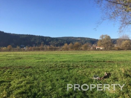 Działka usługowa Nowy Sącz Święta Helena, Teodora Axentowicza