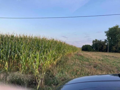 Sprzedam działkę budowlaną