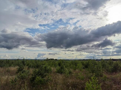 Działka budowlana blisko morza