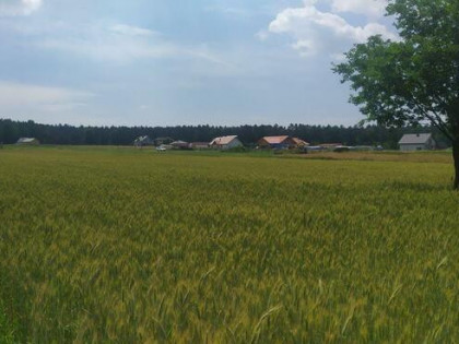 Działka budowlana Zgoń gm. Orzesze