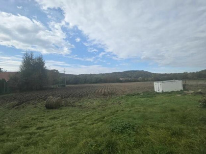 Piaski Drużków, 59ar, inwestycyjna