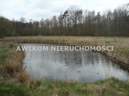 Działka siedliskowa Pieńki Zarębskie gm. Żabia Wola