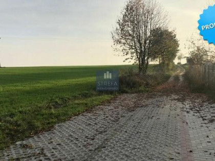 Działka rolna Siadło Górne gm. Kołbaskowo