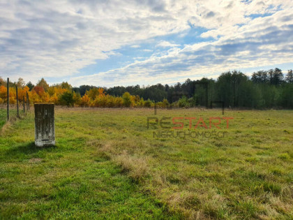 Działka budowlana Musuły gm. Żabia Wola,