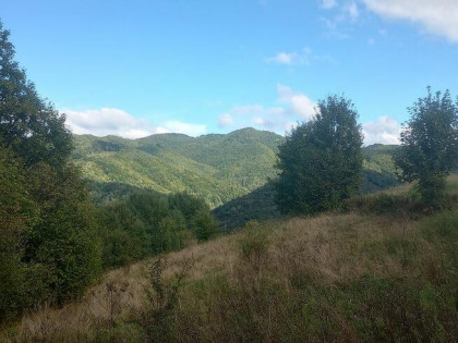 Działka rolno-budowlana z widokiem na góry – Tylmanowa