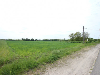 Działka rolno-budowalana Brzostówka g. Serniki 50a