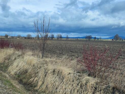 działka rolna powierzchnia 19317m2 Bielawa