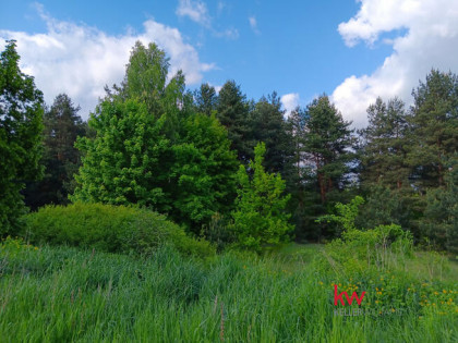 Działka inwestycyjna Przeczyce gm. Mierzęcice, 21 Stycznia