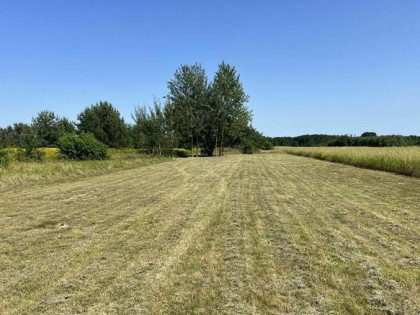 Twoja wymarzona działka budowlana Brańszczyk k. Wyszkowa