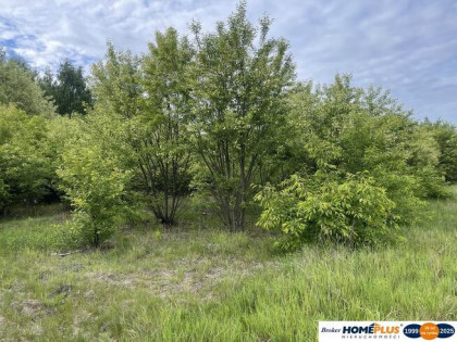 Działka 905 m² Słupno, prąd, pozwolenie na budowę.