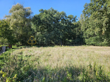 Działka budowlana Betkowo gm. Czempiń,