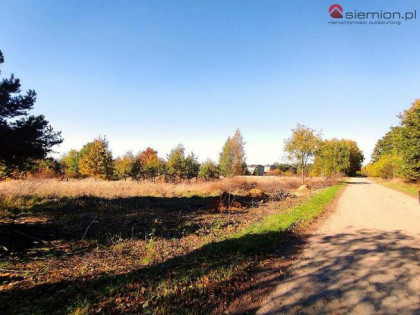 Działka budowlana Rogoźnik  gm. Bobrowniki, Krupna