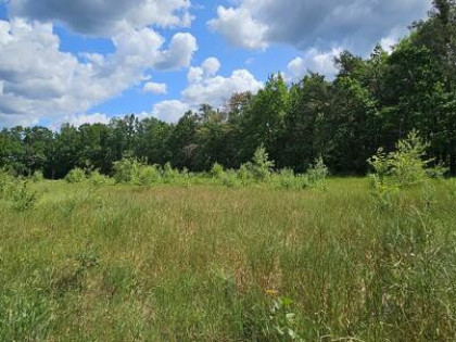 Działka budowlana 1000M2; WZ; BRZÓZA