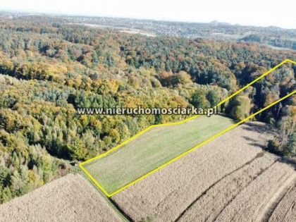 Działka rolna Syrynia gm. Lubomia